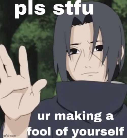 New reaction image or whatever | image tagged in stfu your making a fool of yourself | made w/ Imgflip meme maker