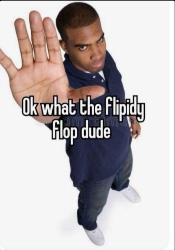 What the flipidy flop dude Blank Meme Template