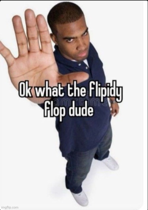 New meme template | image tagged in what the flipidy flop dude | made w/ Imgflip meme maker