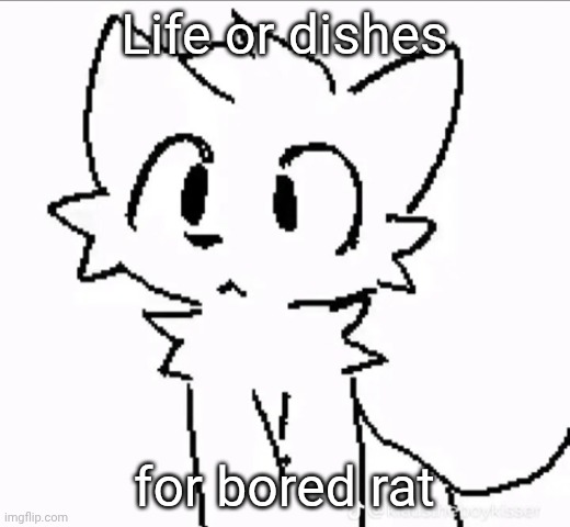 Idk I'm bored I Don't really want to do dishes | Life or dishes; for bored rat | image tagged in huh | made w/ Imgflip meme maker