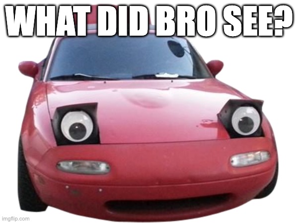WHAT DID BRO SEE? | made w/ Imgflip meme maker