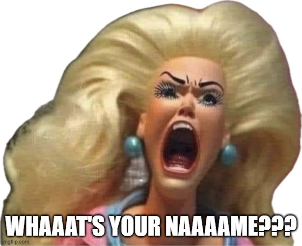 Liberal Barbie | WHAAAT'S YOUR NAAAAME??? | image tagged in liberal barbie | made w/ Imgflip meme maker