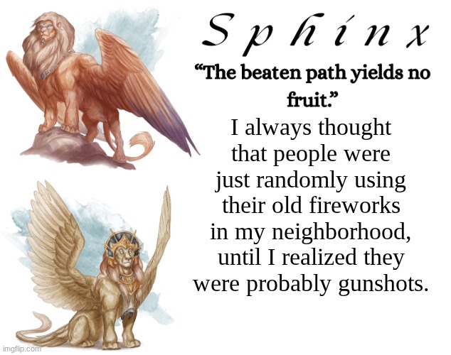 Spinx (aka erocitnaM) | I always thought that people were just randomly using their old fireworks in my neighborhood, until I realized they were probably gunshots. | image tagged in spinx aka erocitnam | made w/ Imgflip meme maker