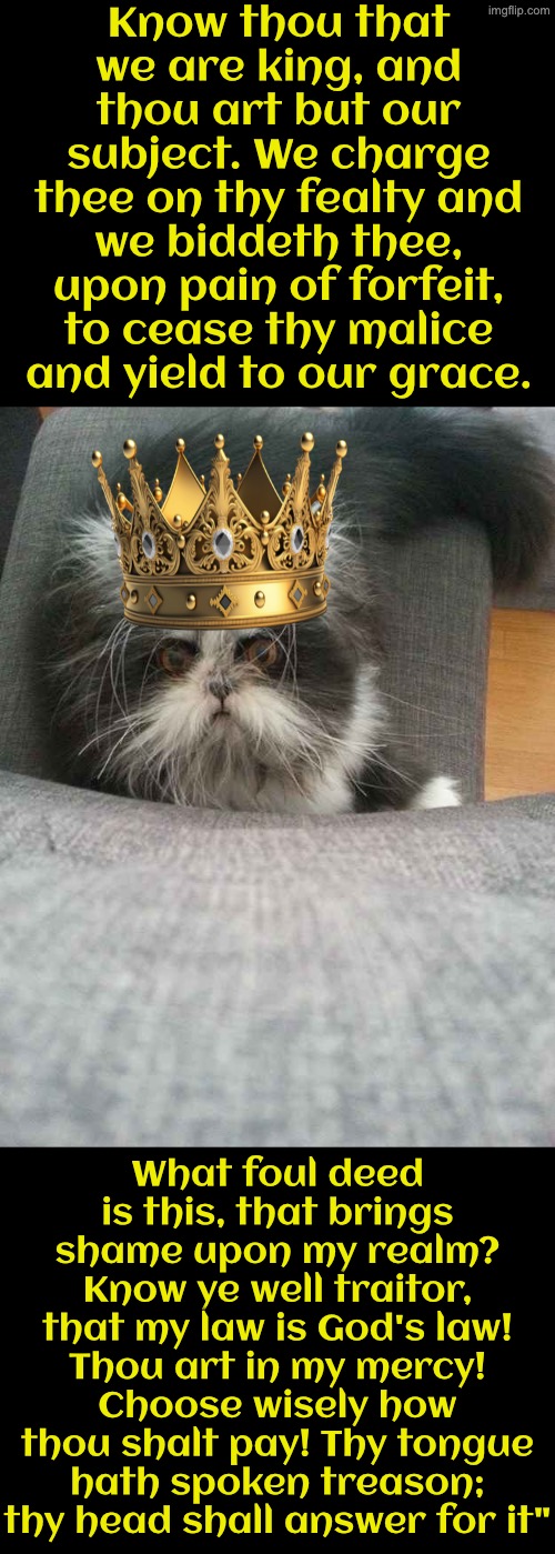 Medieval King Psycho Cat | Know thou that we are king, and thou art but our subject. We charge thee on thy fealty and we biddeth thee, upon pain of forfeit, to cease thy malice and yield to our grace. What foul deed is this, that brings shame upon my realm? Know ye well traitor, that my law is God's law! Thou art in my mercy! Choose wisely how thou shalt pay! Thy tongue hath spoken treason; thy head shall answer for it" | image tagged in cats,funny cats,medieval memes,superior royalty,peasant,you have sinned child prepare to feel the sweet embrace of death | made w/ Imgflip meme maker