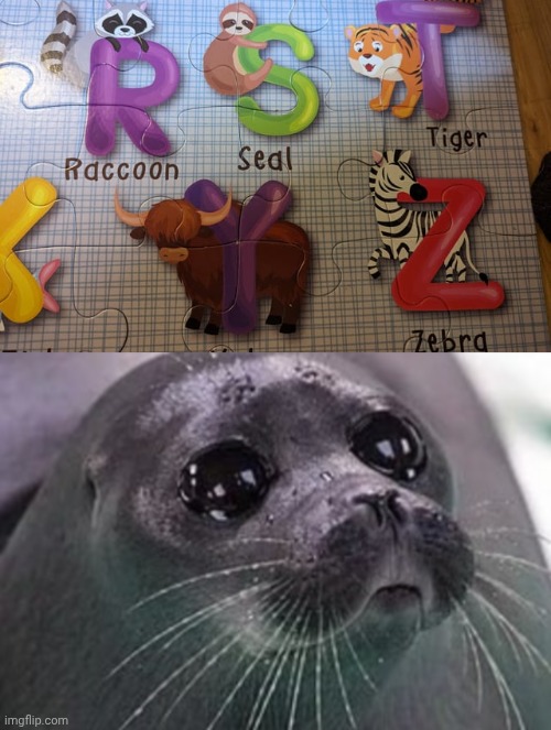"Seal" | image tagged in sad seal,sloth,memes,you had one job,alphabet,animals | made w/ Imgflip meme maker