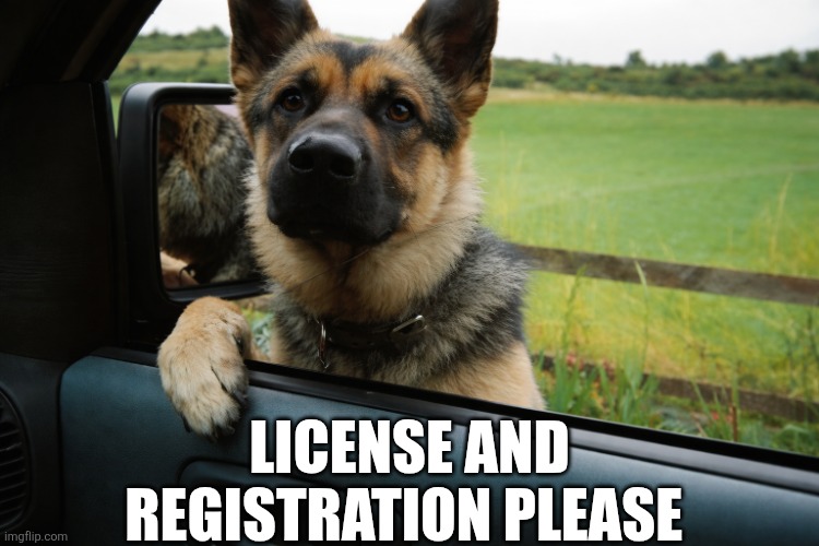 License And Registration Please | LICENSE AND REGISTRATION PLEASE | image tagged in chrisjoines1 | made w/ Imgflip meme maker