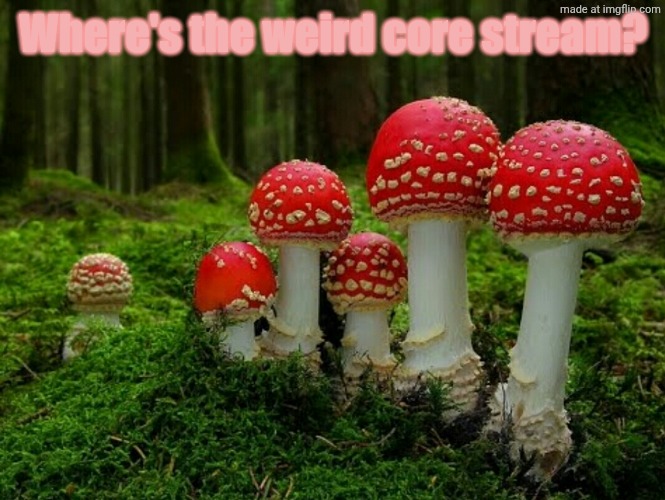 Mushrooms | Where's the weird core stream? | image tagged in mushrooms | made w/ Imgflip meme maker