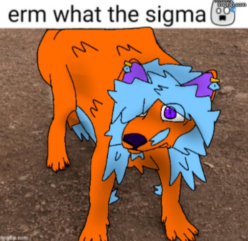 What did I come back to!? | image tagged in erm what the sigma | made w/ Imgflip meme maker
