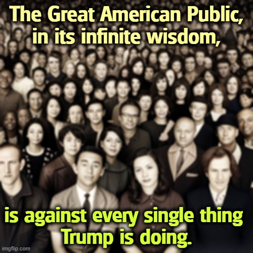 Trump is bonkers. | The Great American Public,
in its infinite wisdom, is against every single thing 
Trump is doing. | image tagged in america,hate,trump,ice,greenland,everything | made w/ Imgflip meme maker