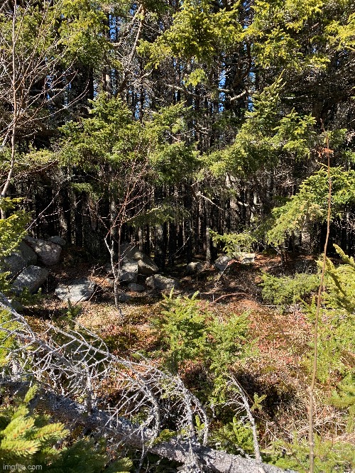 Backshot places in Nova Scotia #2 | made w/ Imgflip meme maker