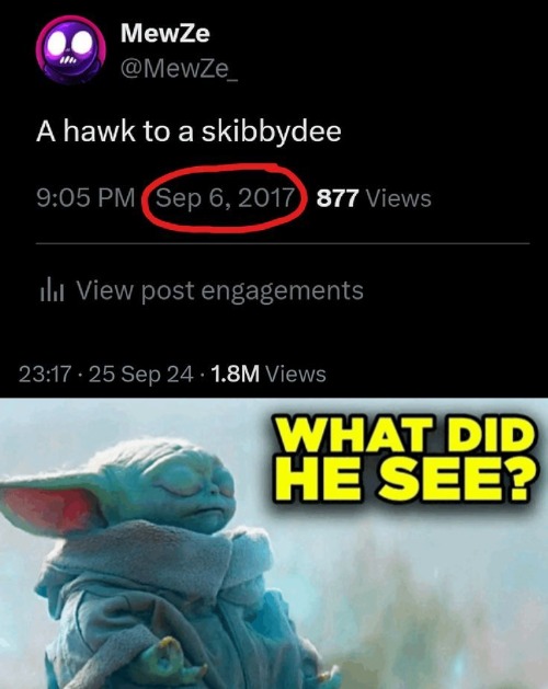 image tagged in baby yoda what did he see | made w/ Imgflip meme maker