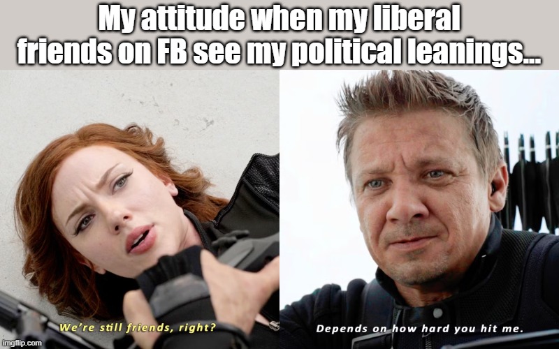 Yep. | My attitude when my liberal friends on FB see my political leanings... | image tagged in political meme,politics,captain america civil war | made w/ Imgflip meme maker