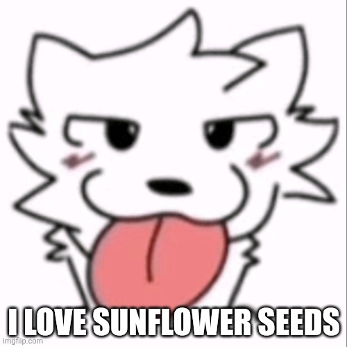 They is so tasty and scrumptious | I LOVE SUNFLOWER SEEDS | image tagged in p | made w/ Imgflip meme maker