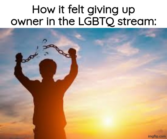 Second chance | How it felt giving up owner in the LGBTQ stream: | image tagged in second chance | made w/ Imgflip meme maker