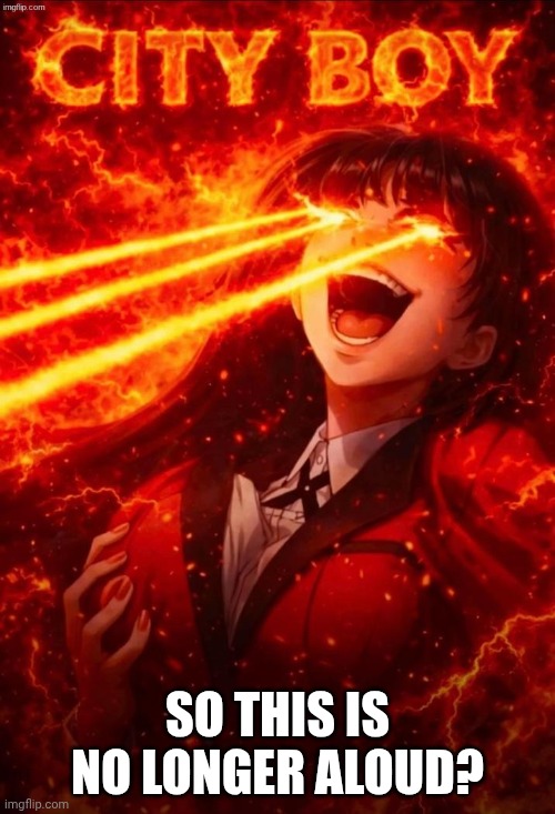 I've posted this meme before. | SO THIS IS NO LONGER ALOUD? | image tagged in city boy | made w/ Imgflip meme maker