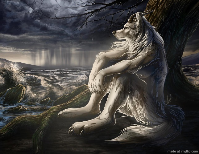 image tagged in sitting wolf | made w/ Imgflip meme maker