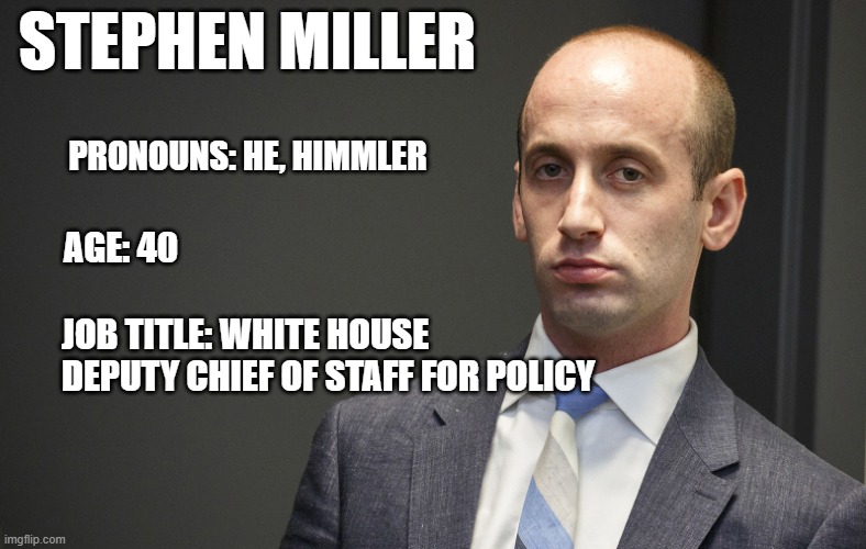 stephen miller pronouns | STEPHEN MILLER; PRONOUNS: HE, HIMMLER; AGE: 40; JOB TITLE: WHITE HOUSE DEPUTY CHIEF OF STAFF FOR POLICY | image tagged in stephen miller,pronouns,nazi | made w/ Imgflip meme maker