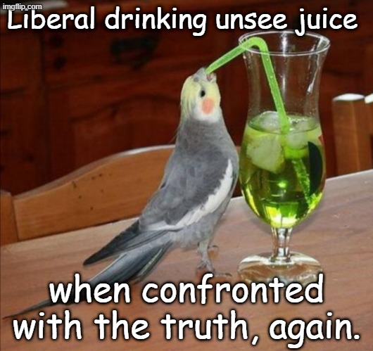 You shall know the truth, and it will set you free to go off on irrational rants and to dive off into denial... | Liberal drinking unsee juice; when confronted with the truth, again. | image tagged in bird drinking green juice | made w/ Imgflip meme maker