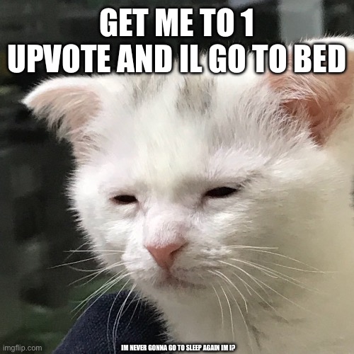 i only need 1 upvote… | GET ME TO 1 UPVOTE AND IL GO TO BED; IM NEVER GONNA GO TO SLEEP AGAIN IM I? | image tagged in i'm awake but at what cost,memes,funny,oh wow are you actually reading these tags,awake,upvote | made w/ Imgflip meme maker