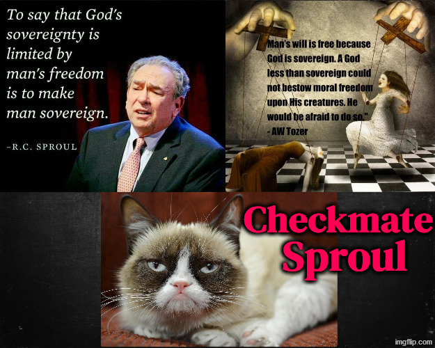 Checkmate Sproul | image tagged in calvinism,calvinist memes,anti calvinism,reformed theology,r c sproul,checkmate | made w/ Imgflip meme maker
