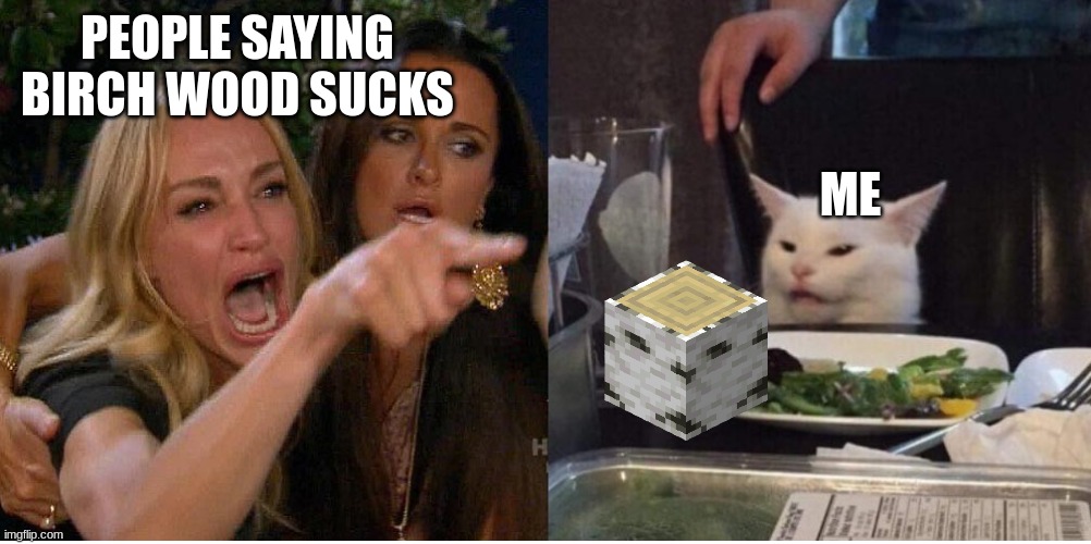 salad cat | PEOPLE SAYING BIRCH WOOD SUCKS; ME | image tagged in salad cat | made w/ Imgflip meme maker