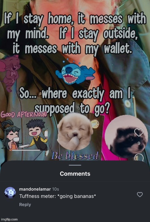 made w/ Imgflip meme maker