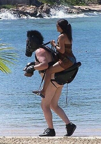 High Quality Horse gimp Blank Meme Template