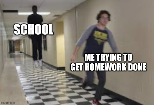 Running Down Hallway | SCHOOL; ME TRYING TO GET HOMEWORK DONE | image tagged in running down hallway | made w/ Imgflip meme maker