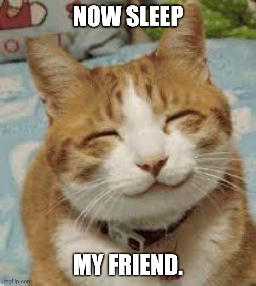 Happy cat | NOW SLEEP MY FRIEND. | image tagged in happy cat | made w/ Imgflip meme maker