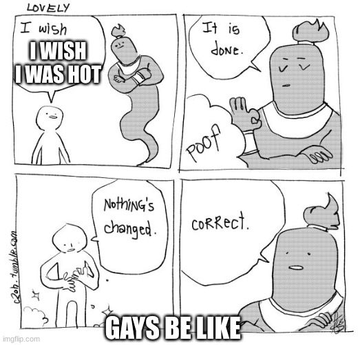 I Wish Genie Nothing's Changed | I WISH I WAS HOT; GAYS BE LIKE | image tagged in i wish genie nothing's changed | made w/ Imgflip meme maker