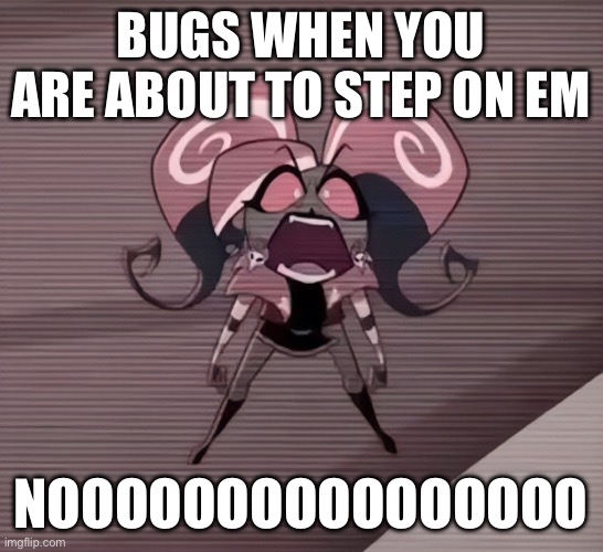 Live velvette reaction | BUGS WHEN YOU ARE ABOUT TO STEP ON EM; NOOOOOOOOOOOOOOOO | image tagged in live velvette reaction | made w/ Imgflip meme maker