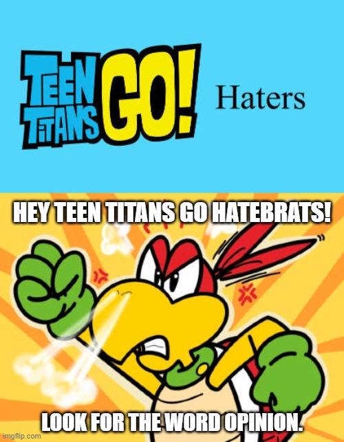 Koopa Troopa Return's message to Teen Titans Go hatebrats. (CREDITS TO KOOPA-TROOPA-RETURN) | HEY TEEN TITANS GO HATEBRATS! LOOK FOR THE WORD OPINION. | image tagged in deviantart,stop,beating a dead horse,teen titans go,super mario bros,why are you reading the tags | made w/ Imgflip meme maker