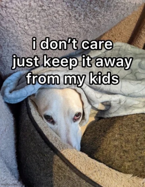 Homophobic dog | image tagged in homophobic dog | made w/ Imgflip meme maker