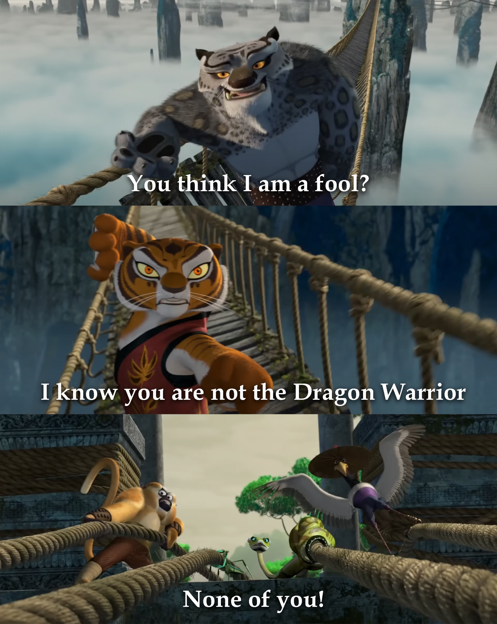 You think I am a fool? Blank Meme Template