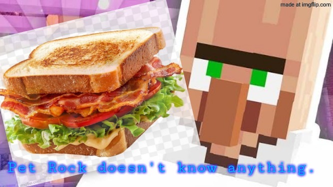 The Ultimate Sandwich | Pet Rock doesn't know anything. | image tagged in the ultimate sandwich | made w/ Imgflip meme maker