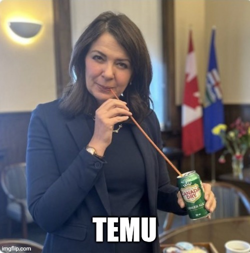 Canadian politics | image tagged in political meme | made w/ Imgflip meme maker