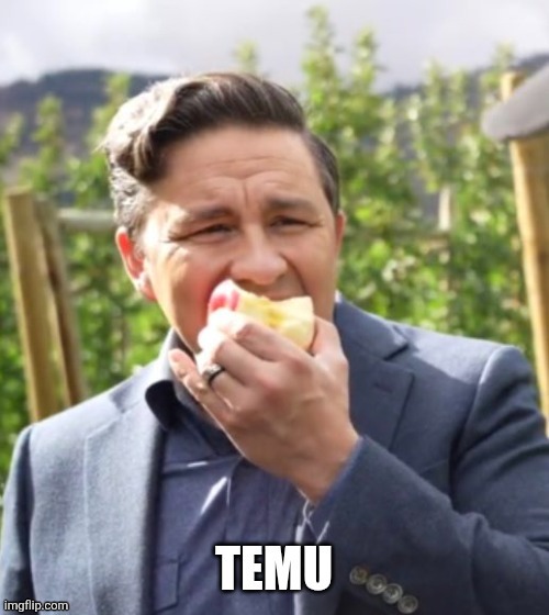 Canadian politics | image tagged in political meme | made w/ Imgflip meme maker