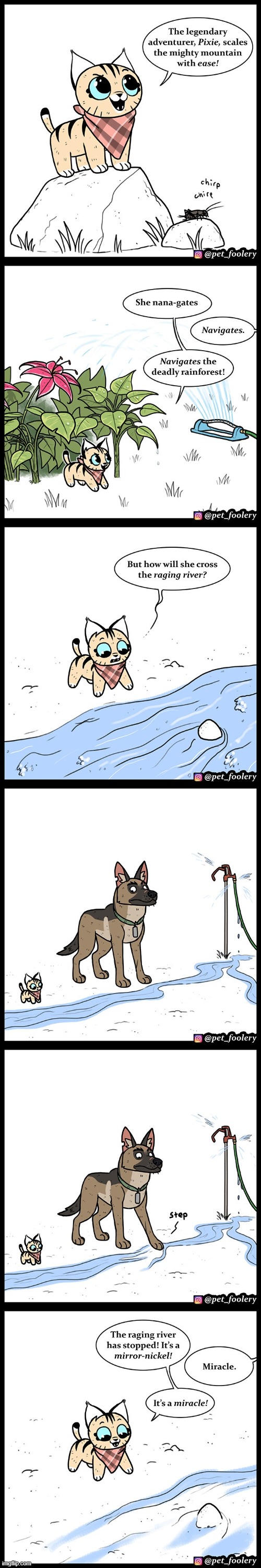 image tagged in cat,legendary,adventurer,dog,pretend,adventure | made w/ Imgflip meme maker