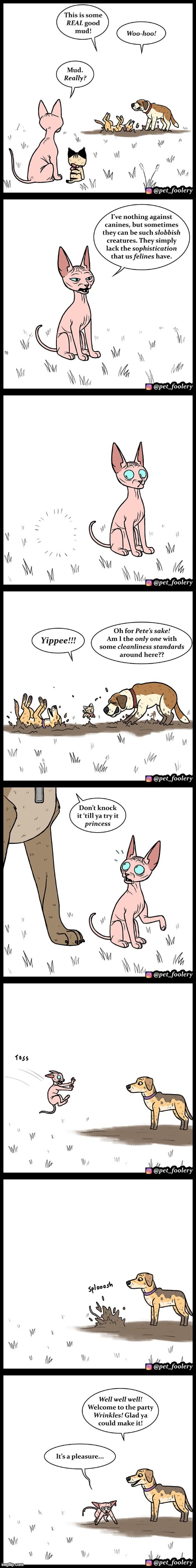 image tagged in dogs,cats,mud,puddle,mud puddle,oof | made w/ Imgflip meme maker