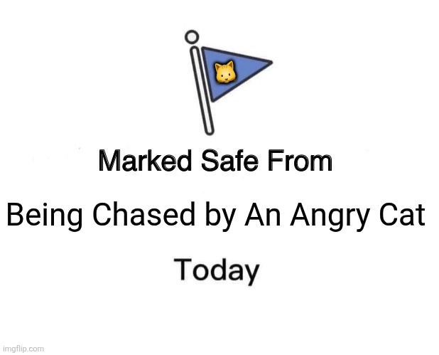 Marked Safe From | 🐱; Being Chased by An Angry Cat | image tagged in memes,kitten,angry | made w/ Imgflip meme maker