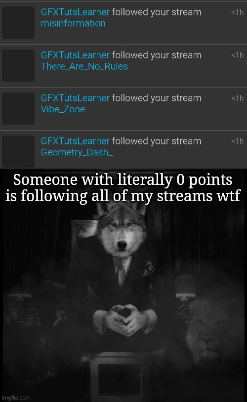 Someone with literally 0 points is following all of my streams wtf | image tagged in wolf on a chair | made w/ Imgflip meme maker