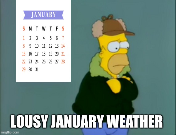 Lousy January weather | LOUSY JANUARY WEATHER | image tagged in lousy smarch weather,the simpsons,january sucks,january blues,homer simpson,bad weather | made w/ Imgflip meme maker