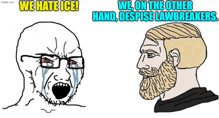 We are not the same. | WE HATE ICE! WE, ON THE OTHER HAND, DESPISE LAWBREAKERS. | image tagged in crying wojak vs chad | made w/ Imgflip meme maker