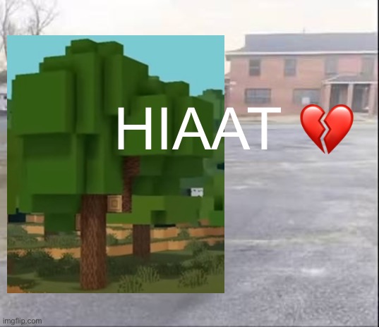 Hello, I am a tree. | HIAAT 💔 | image tagged in blank sybau,tree,excuse me what the heck,literal meme,oh wow are you actually reading these tags | made w/ Imgflip meme maker