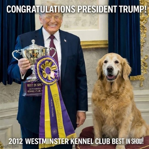 Conservatives love participation trophies because they're the only ones they can get | image tagged in scumbag republicans,terrorists,trailer trash,conservative hypocrisy,pedophilia,jeffrey epstein | made w/ Imgflip meme maker