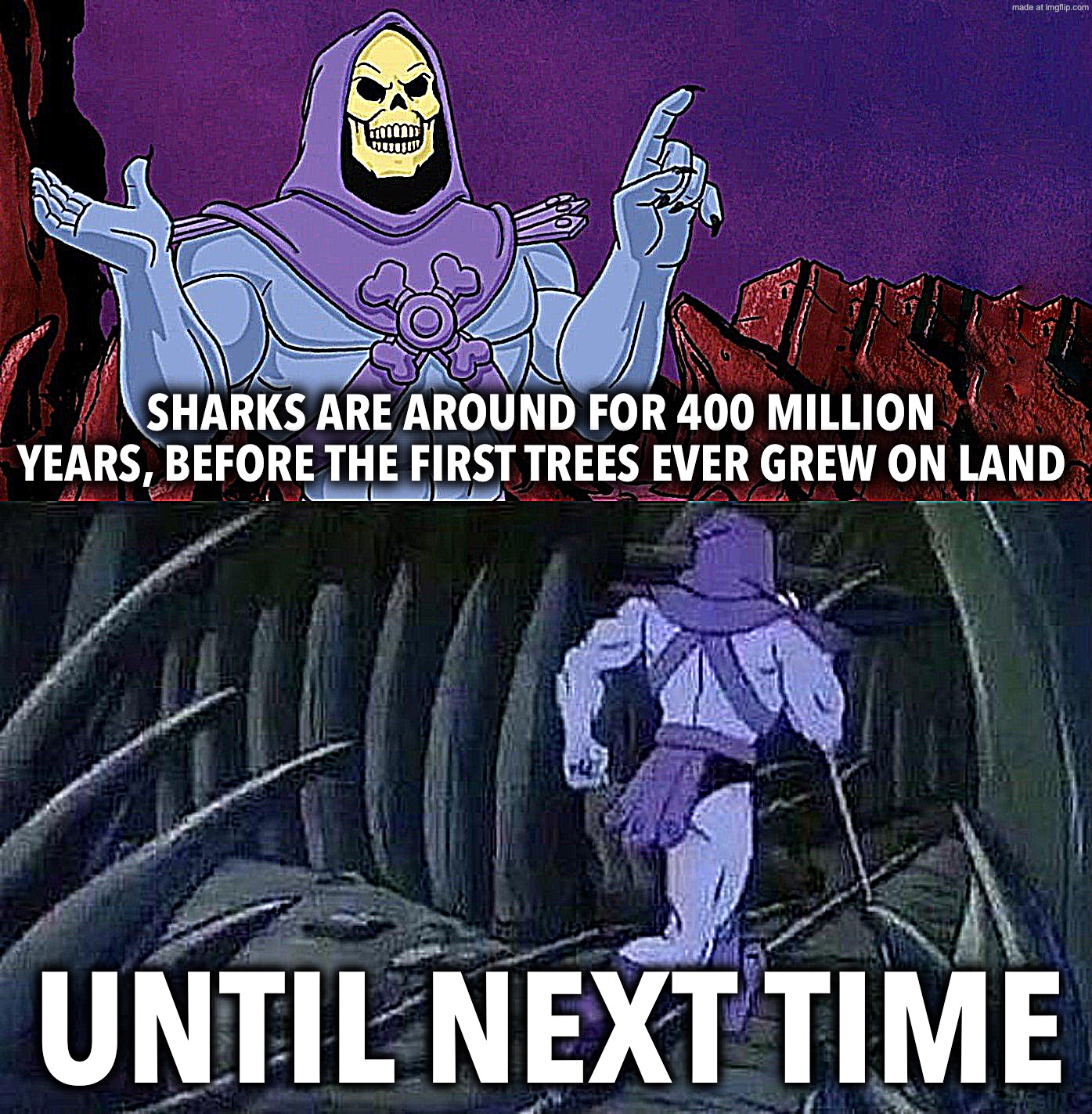 based on an AI video | SHARKS ARE AROUND FOR 400 MILLION YEARS, BEFORE THE FIRST TREES EVER GREW ON LAND; UNTIL NEXT TIME | image tagged in he man skeleton advices | made w/ Imgflip meme maker