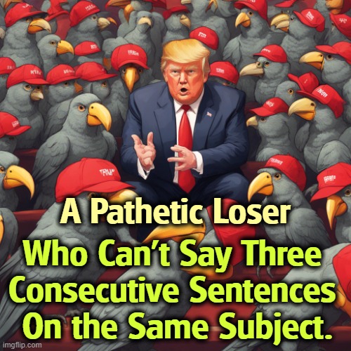 Trump speaks only to MAGA because everybody else left | A Pathetic Loser; Who Can't Say Three 
Consecutive Sentences 
On the Same Subject. | image tagged in trump speaks only to maga because everybody else left,trump,pathetic,loser,incoherent,talk | made w/ Imgflip meme maker