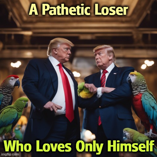 But that's not enough, is it? | A Pathetic Loser; Who Loves Only Himself | image tagged in trump pathetic loser loves only himself parrots,trump,pathetic,loser,malignant narcissist,parrot | made w/ Imgflip meme maker