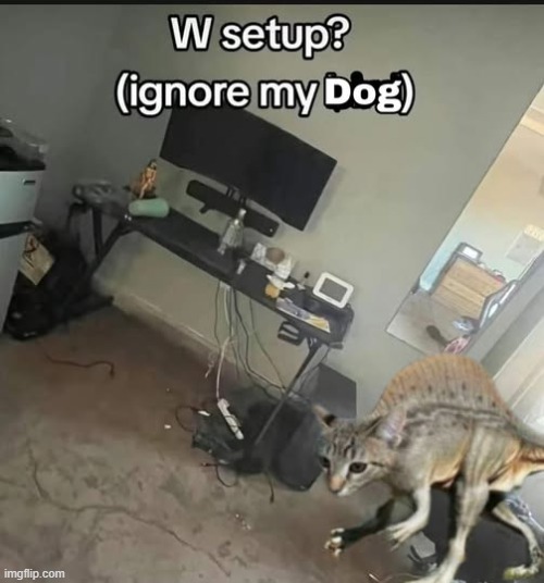 i bet i have the best setup in the world! | image tagged in setups,i said ignore my cat,dont ask why it looks like a dinosaur i mean lizard | made w/ Imgflip meme maker