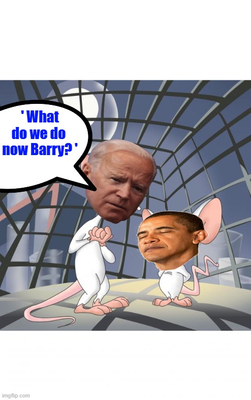 DUMB DUMB  & DO DO its like Frick & Frack the US rat enemies within. | ' What do we do  now Barry? ' | image tagged in pinky and the brain | made w/ Imgflip meme maker